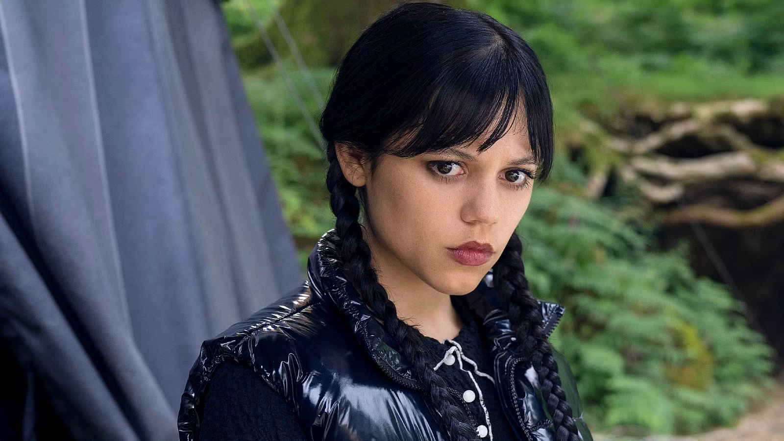 Miércoles: cada especie nunca más marginada, clasificada por lo poderosos que son