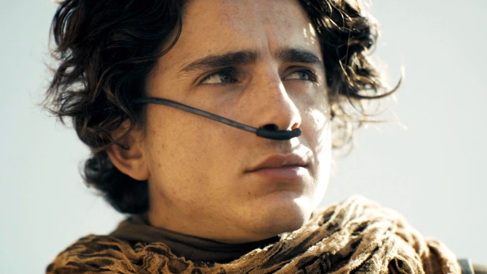 ¿Timothée Chalamet se afeitó la cabeza para Dune 3?