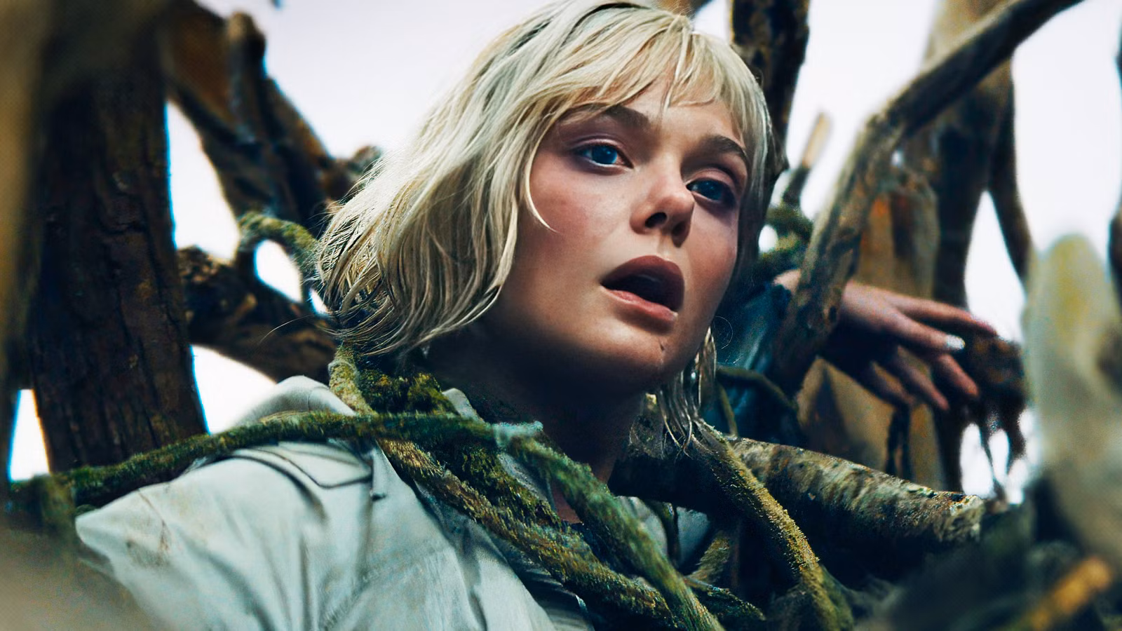 Predator: Badlands Rating rompe oficialmente una tradición de franquicia después de 38 años