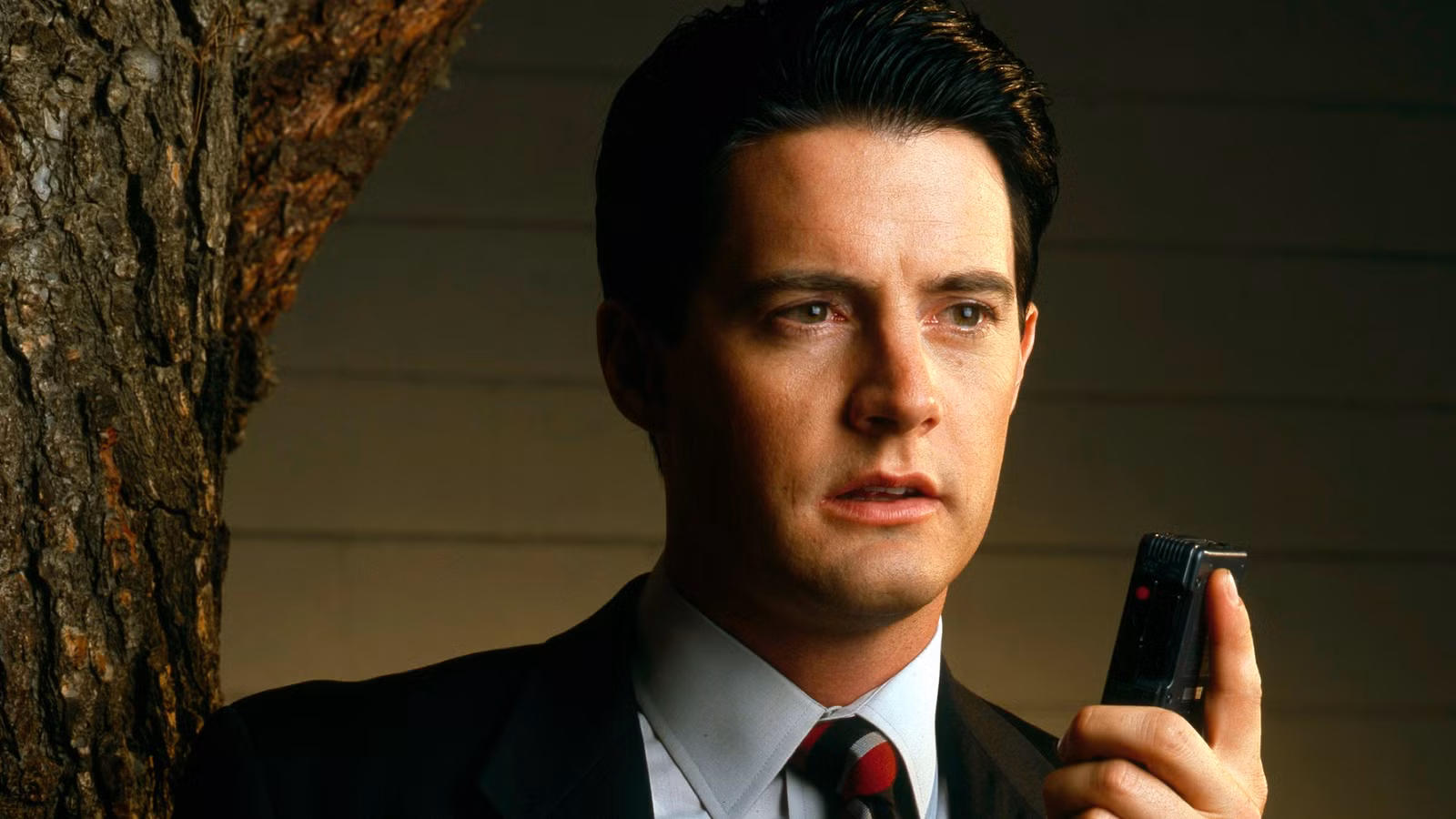 El reemplazo perfecto de Twin Peaks es una obra maestra de Netflix con 95% RT
