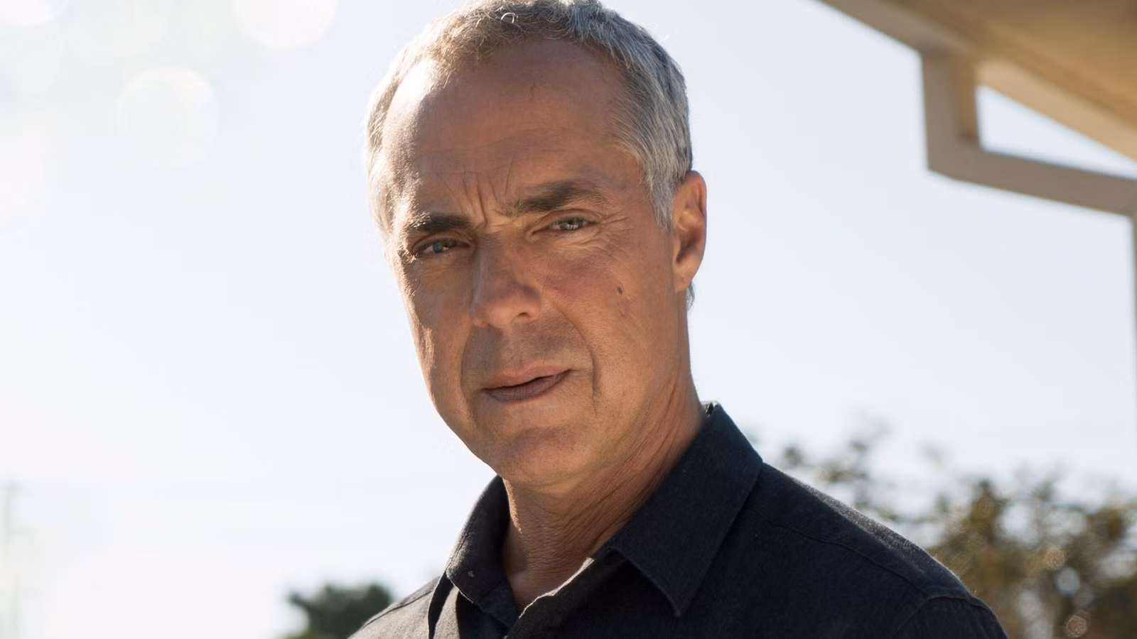 9 programas de procedimientos policiales mejores que Bosch