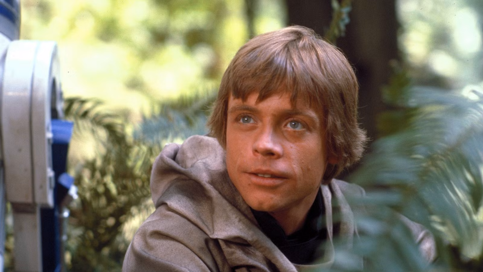 4 años después, todavía falta una historia de Luke Skywalker que debemos ver