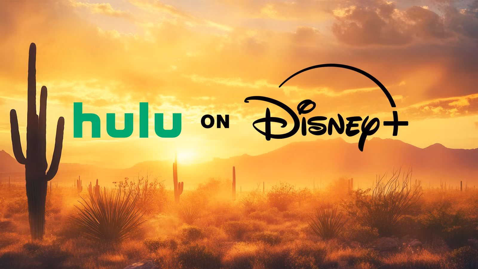 3 mejores programas para ver en Hulu & Disney+ este fin de semana