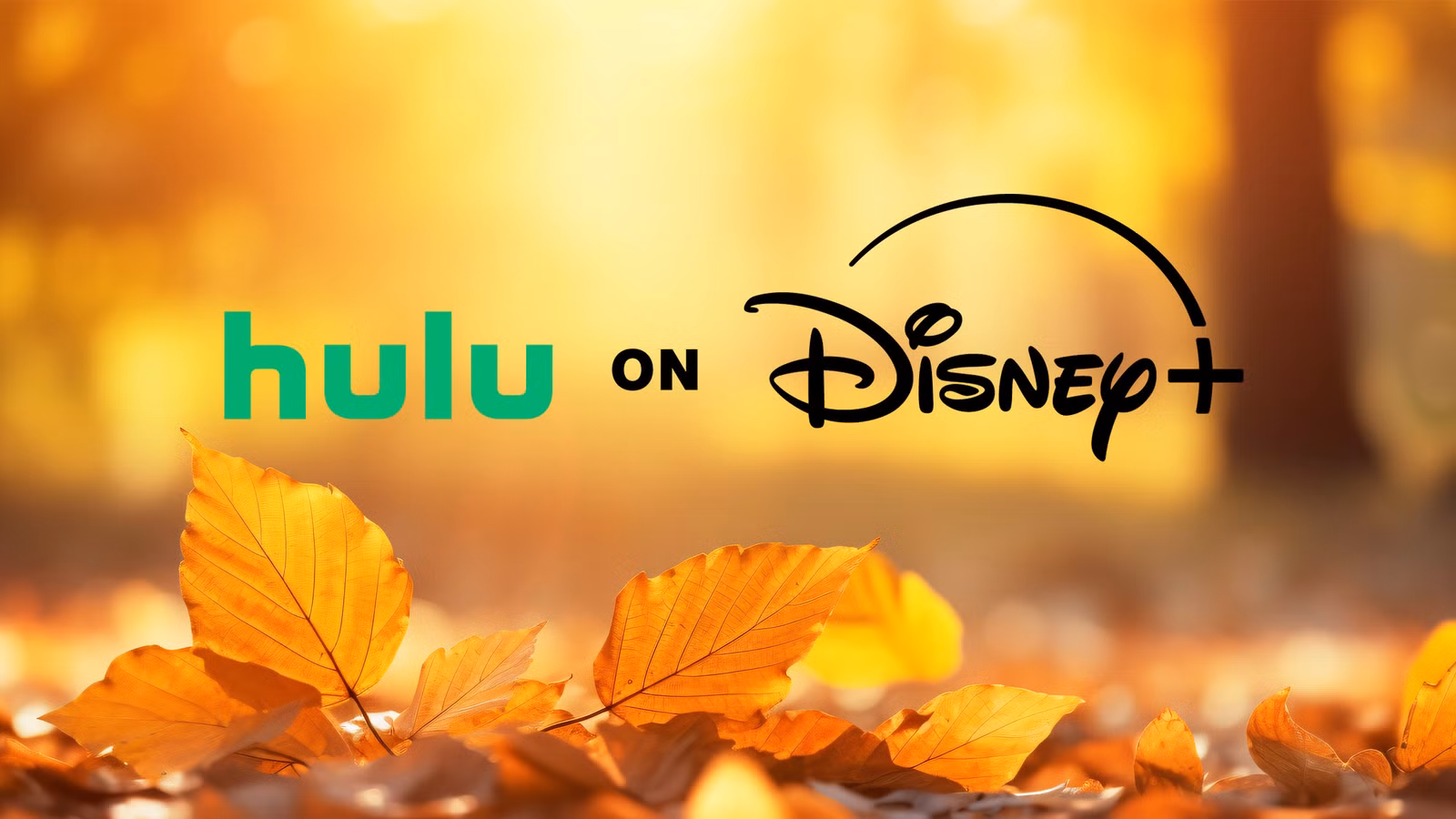 3 mejores shows de Hulu & Disney+ para ver en exceso este fin de semana (3–5 de octubre, 2025)