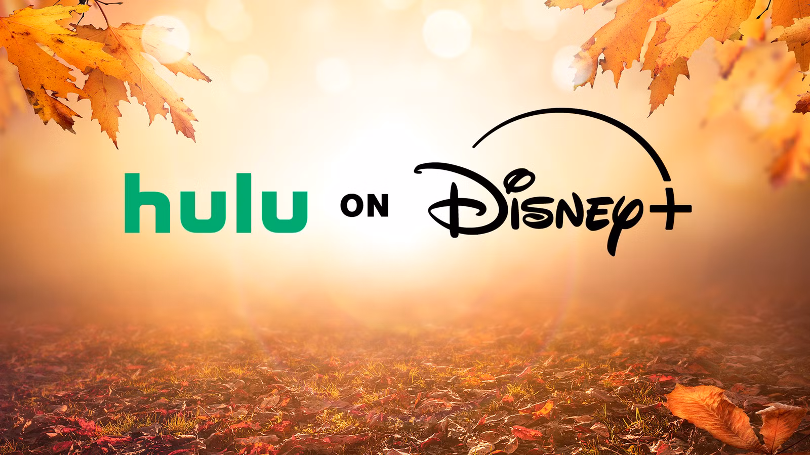 5 Mejores shows de Hulu & Disney+ para ver en exceso esta semana (6–12 de octubre, 2025)