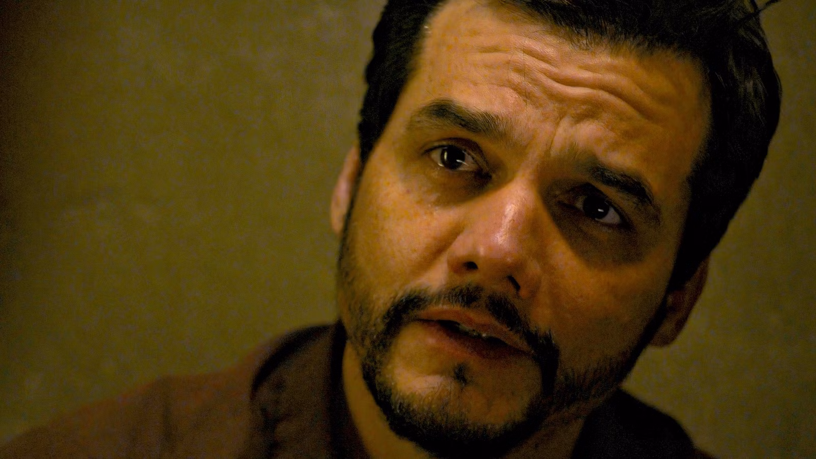 6 El thriller criminal nuevo y nuevo muestra que nadie está hablando