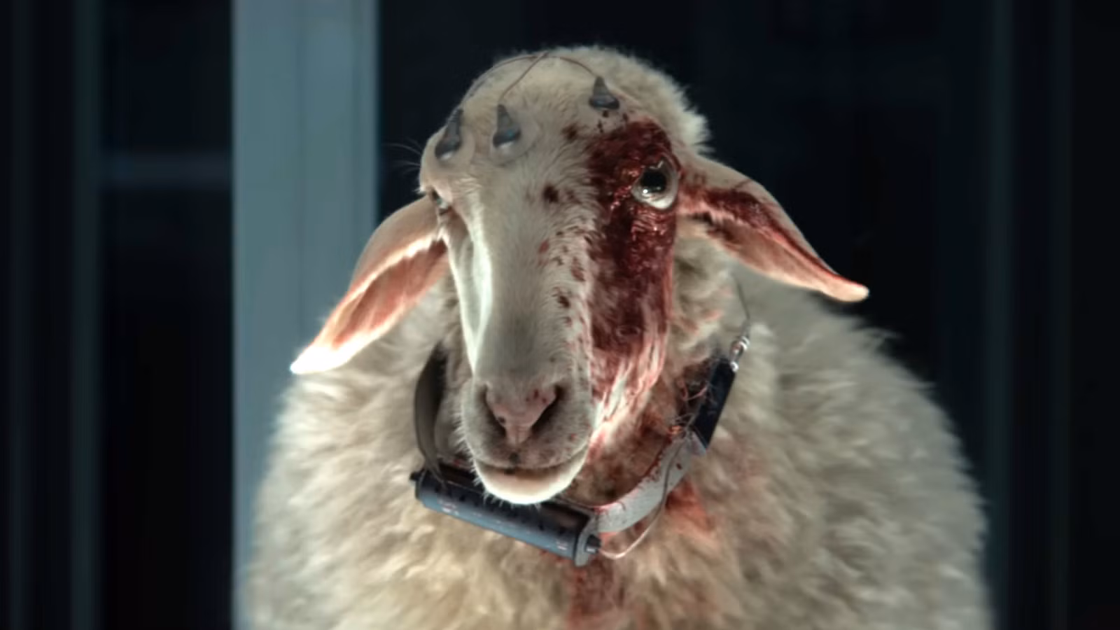 Alien: Earth - ¿Quién quiere el niño Kavalier como el nuevo anfitrión del monstruo del ojo?