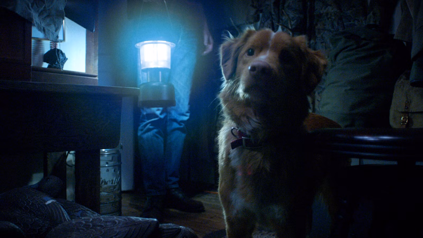 Buen chico final explicó: ¿Por qué [SPOILER] No muere en el final