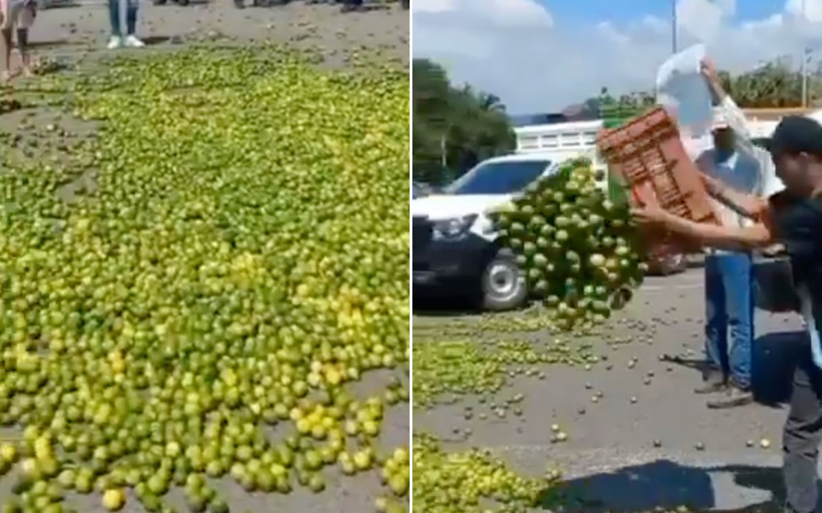 Citricultores vacían toneladas de limón; exigen precios justos | Video