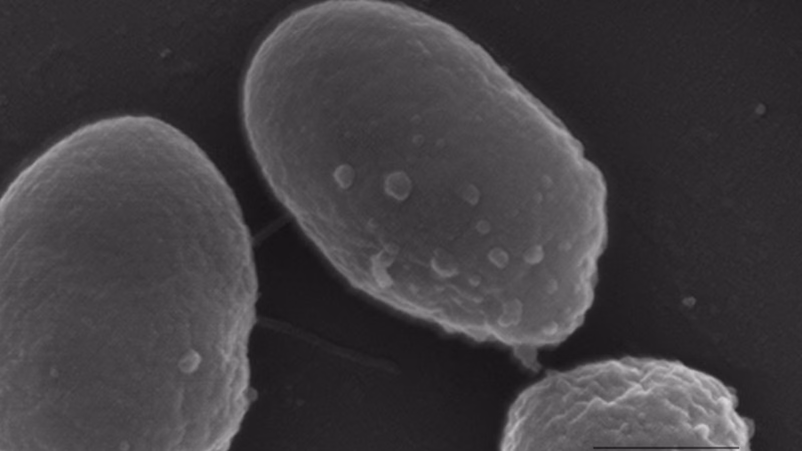 Cómo los científicos planean reciclar los desechos plásticos en el espacio
