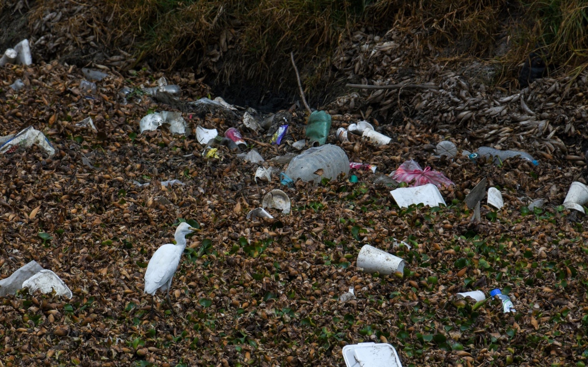 En 10 meses, retiran 41 mil toneladas de basura del drenaje en el Valle de México