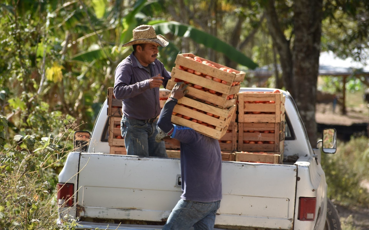 Extorsión eleva precios de algunos alimentos hasta 20 por ciento: Consejo Nacional Agropecuario