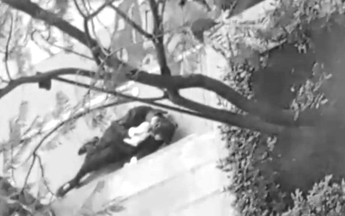 Falleció en el hospital abogado que fue tiroteado fuera de la Ciudad Judicial