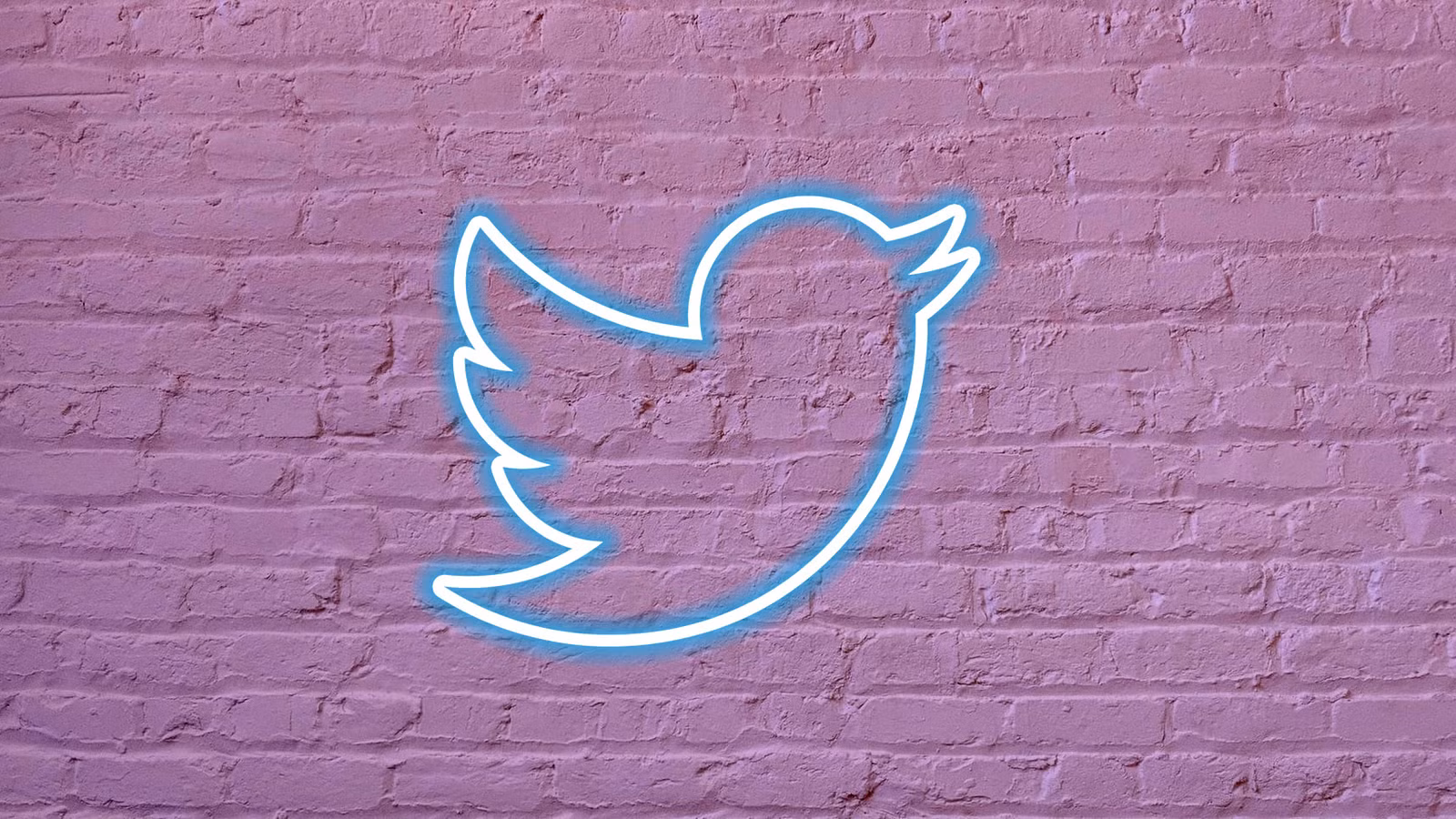 Los usuarios de Twitter Blue ahora pueden llenar su feed con videos de una hora de duración