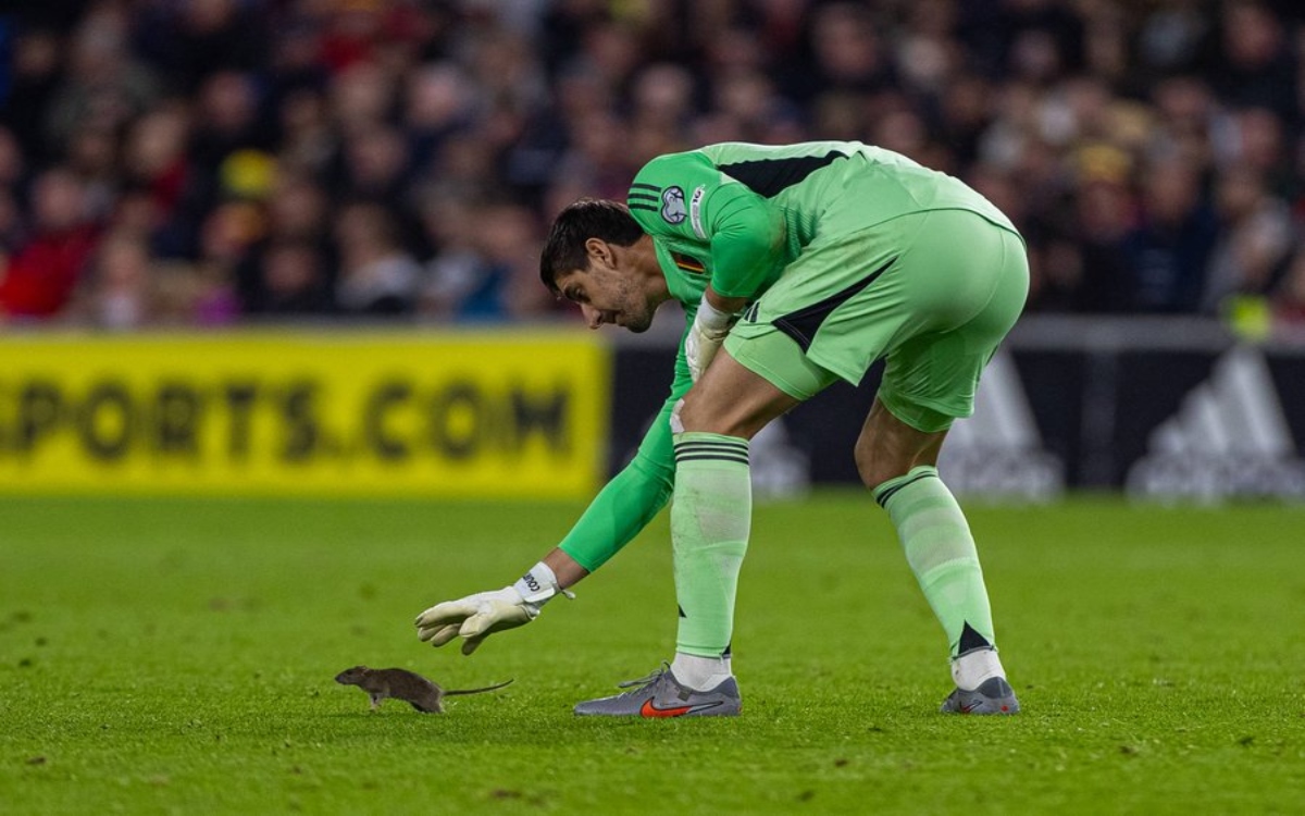 Rata deja en evidencia al Cardiff City FC y su política de control de plagas | Video