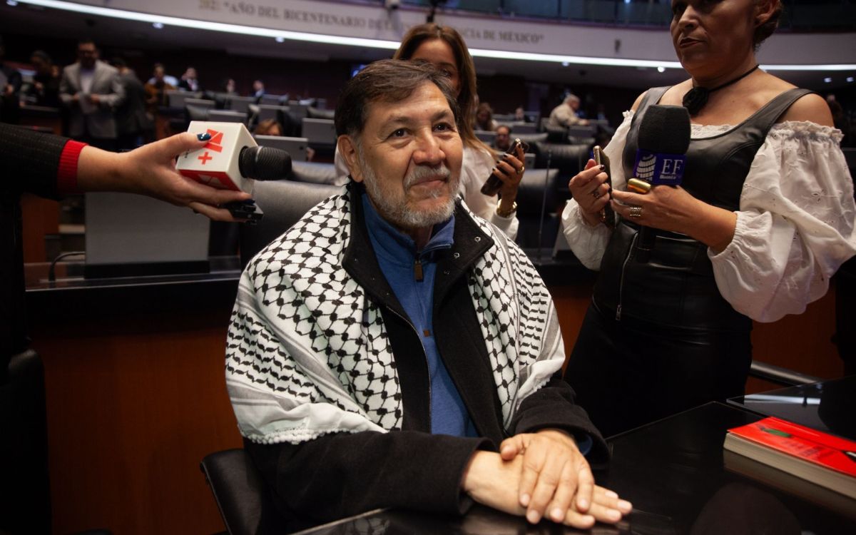 Fernández Noroña solicitará licencia al Senado para visitar Palestina