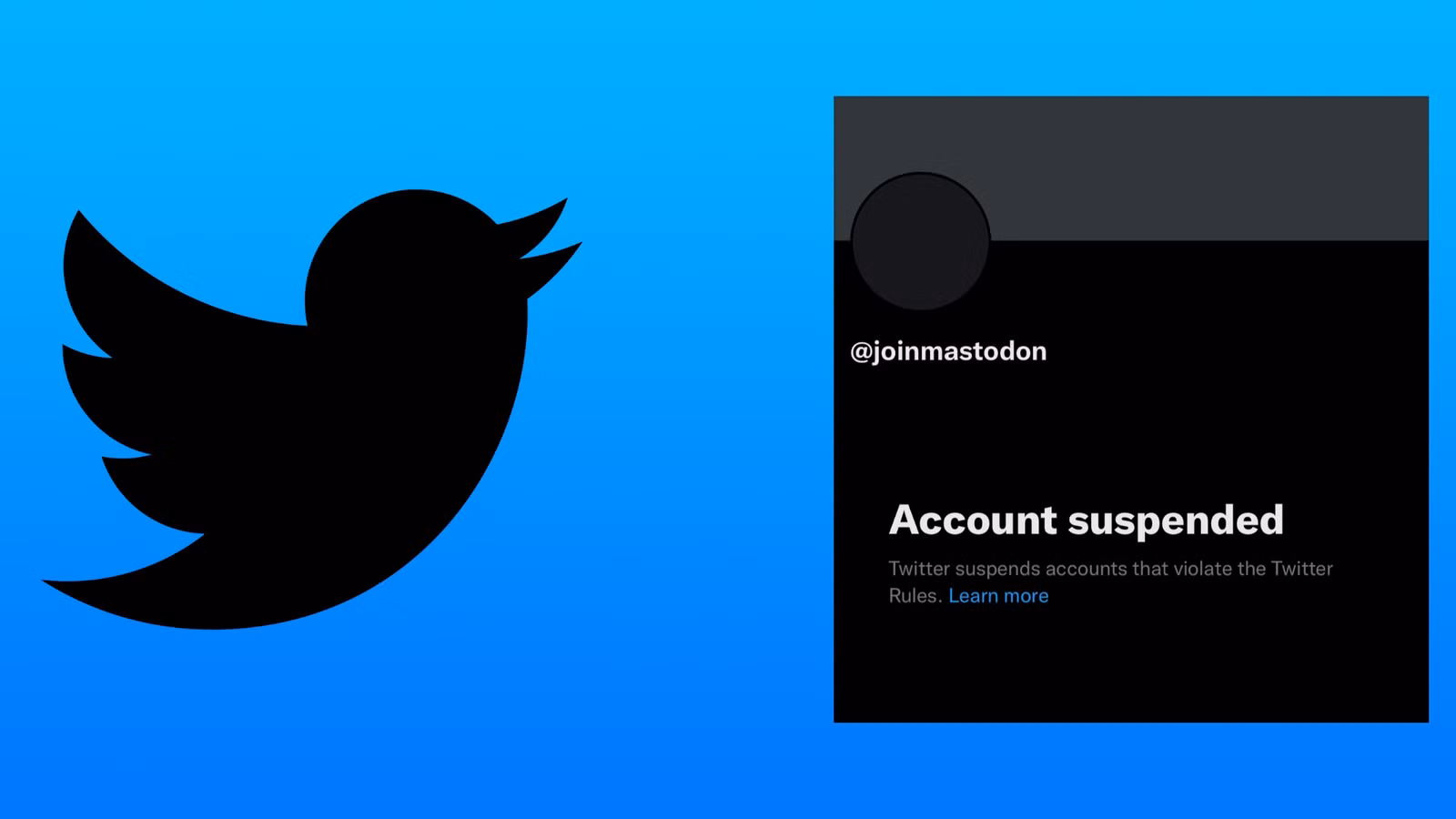 Twitter prohíbe oficialmente la promoción de otros sitios de redes sociales