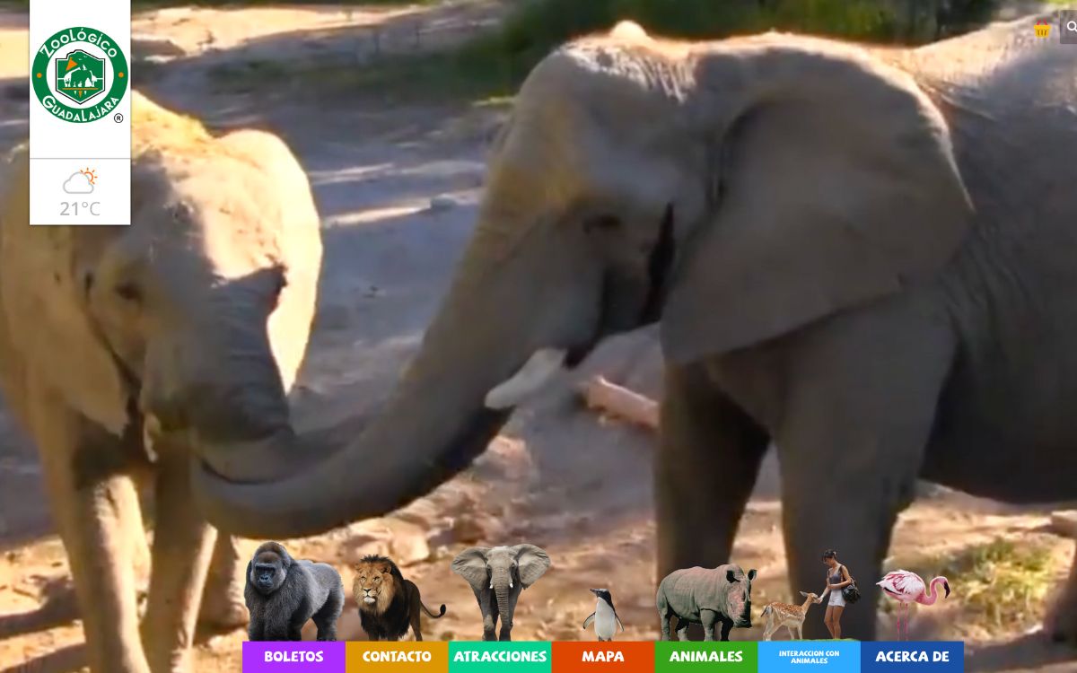 Un zoológico en Guadalajara es refugio de 300 especies, 85% en peligro de extinción