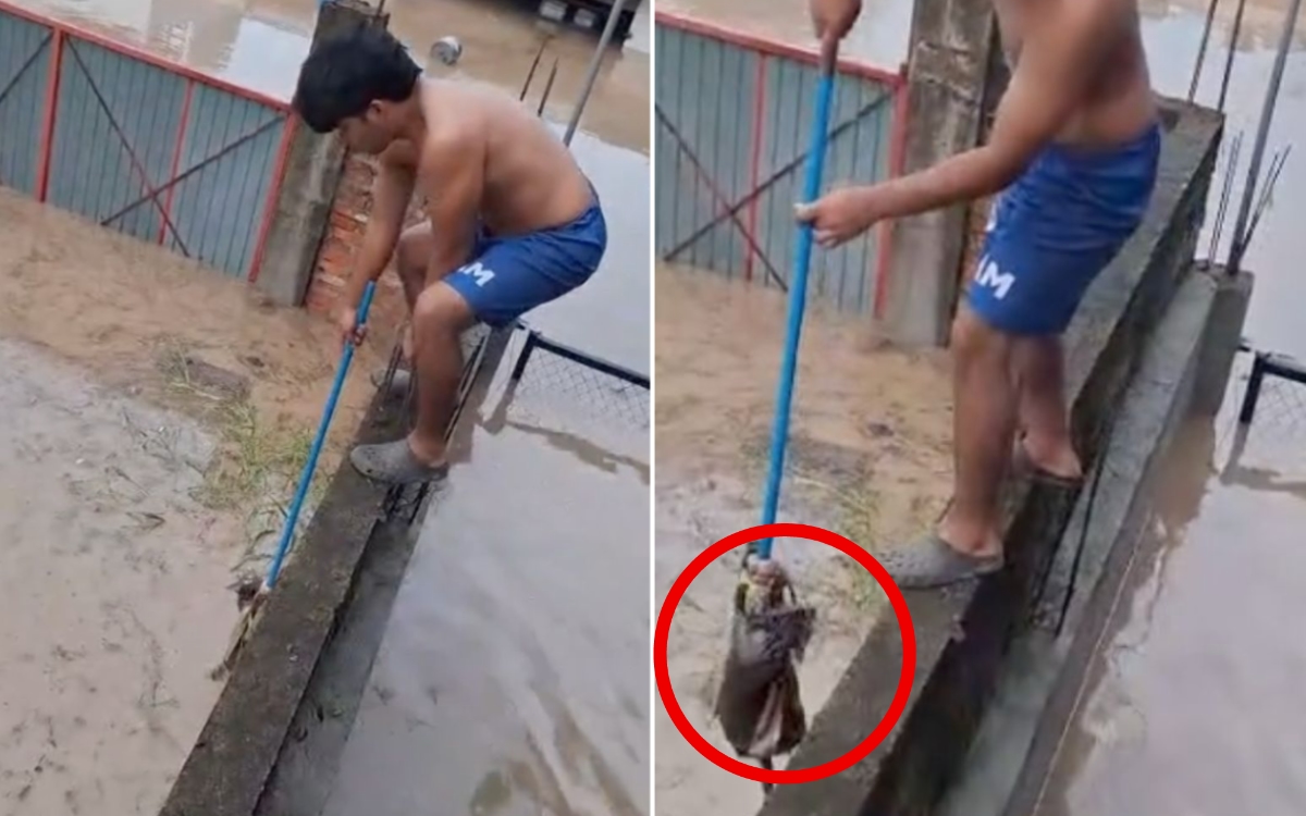 Video | Niño rescató a gatito durante inundaciones en Veracruz