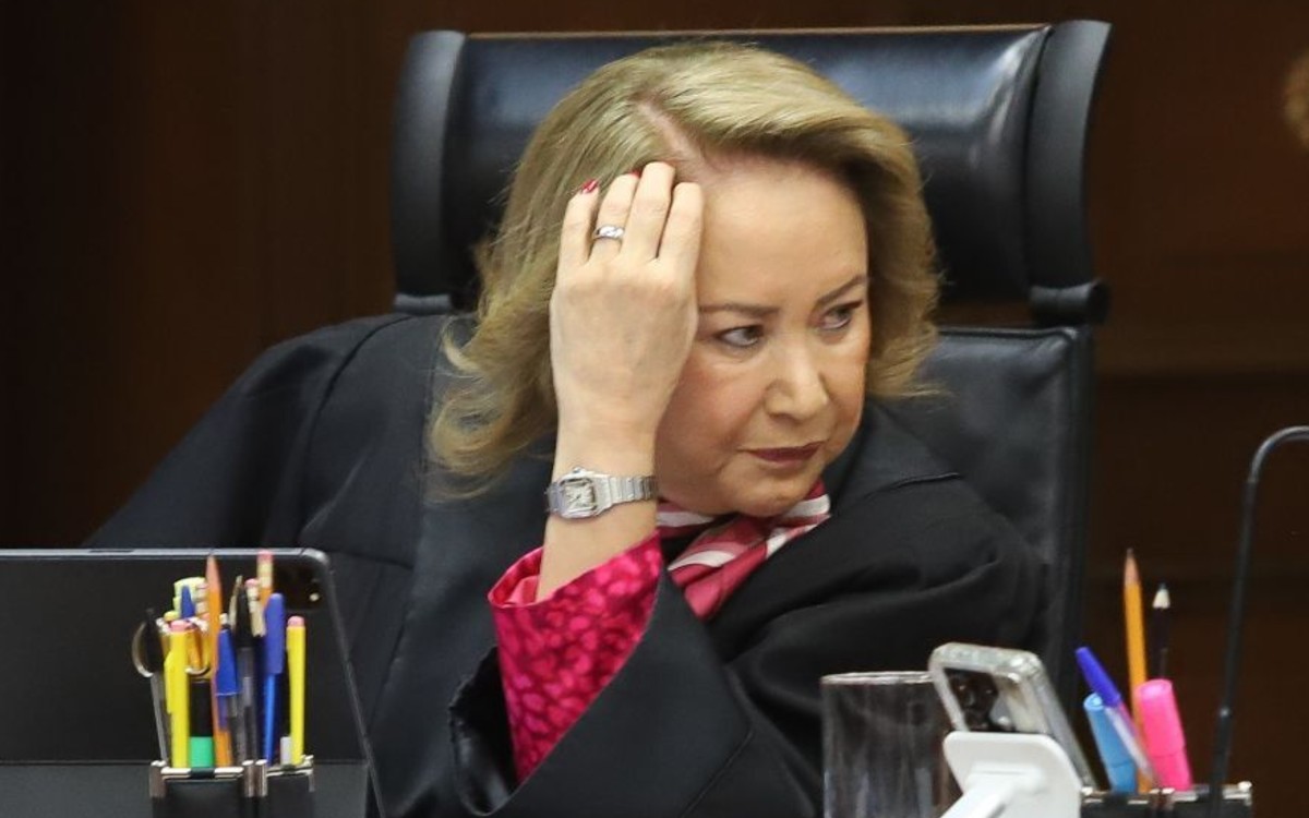 Yasmin Esquivel retiró proyecto que limitaba figura de interés legítimo