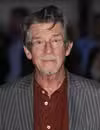 Foto de cabeza de John Hurt en el estreno británico de Melancholia