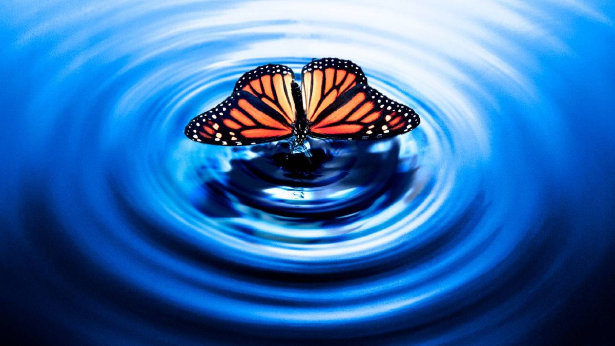 Los 8 próximos programas de televisión de suspense más emocionantes basados ​​en libros