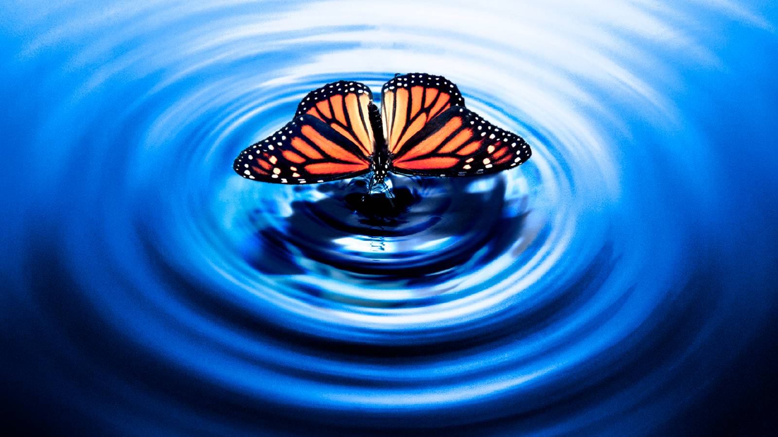 Los 8 próximos programas de televisión de suspense más emocionantes basados ​​en libros