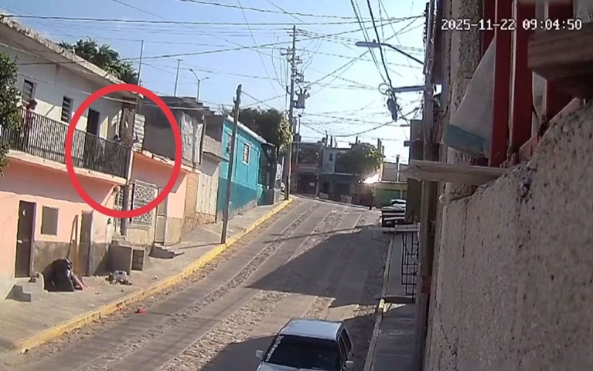 Por bajo peso y estrés, Profepa clausura parque Temazcal Zovic de Morelos