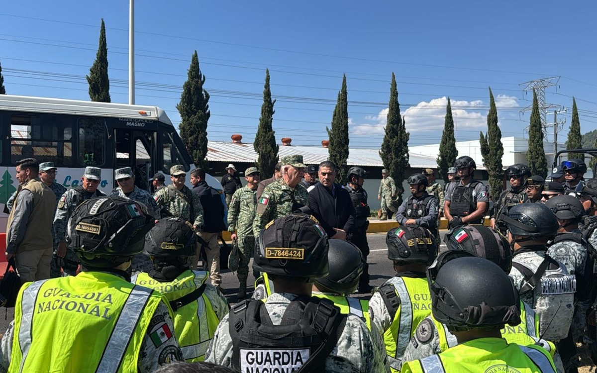 Gobierno va contra 12 cárteles del en Michoacán