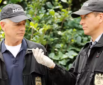 Gibbs y DiNozzo en NCIS