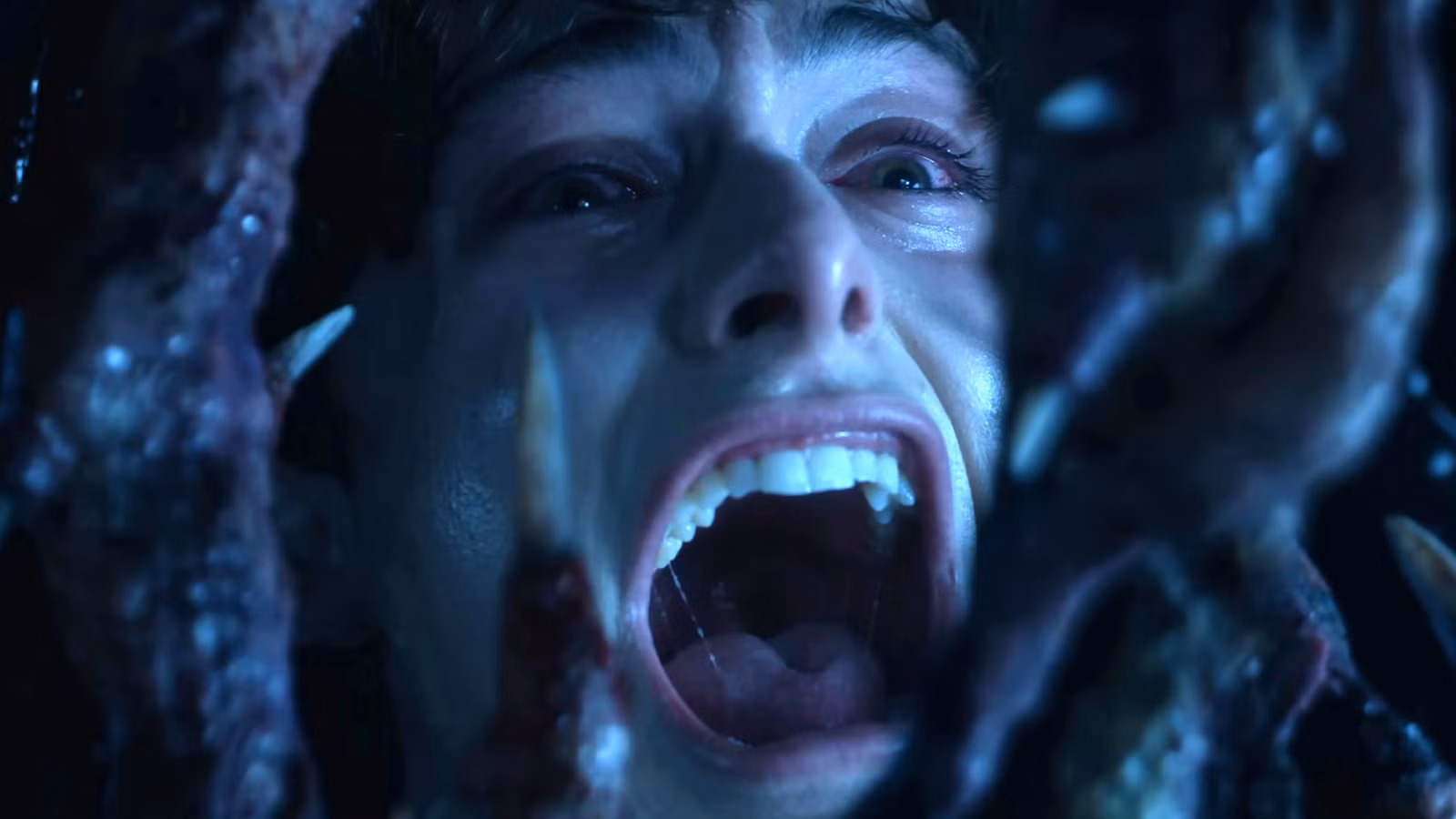 Will & Vecna's Stranger Things Temporada 5 Volumen 1 Final de suspenso abordado por una estrella