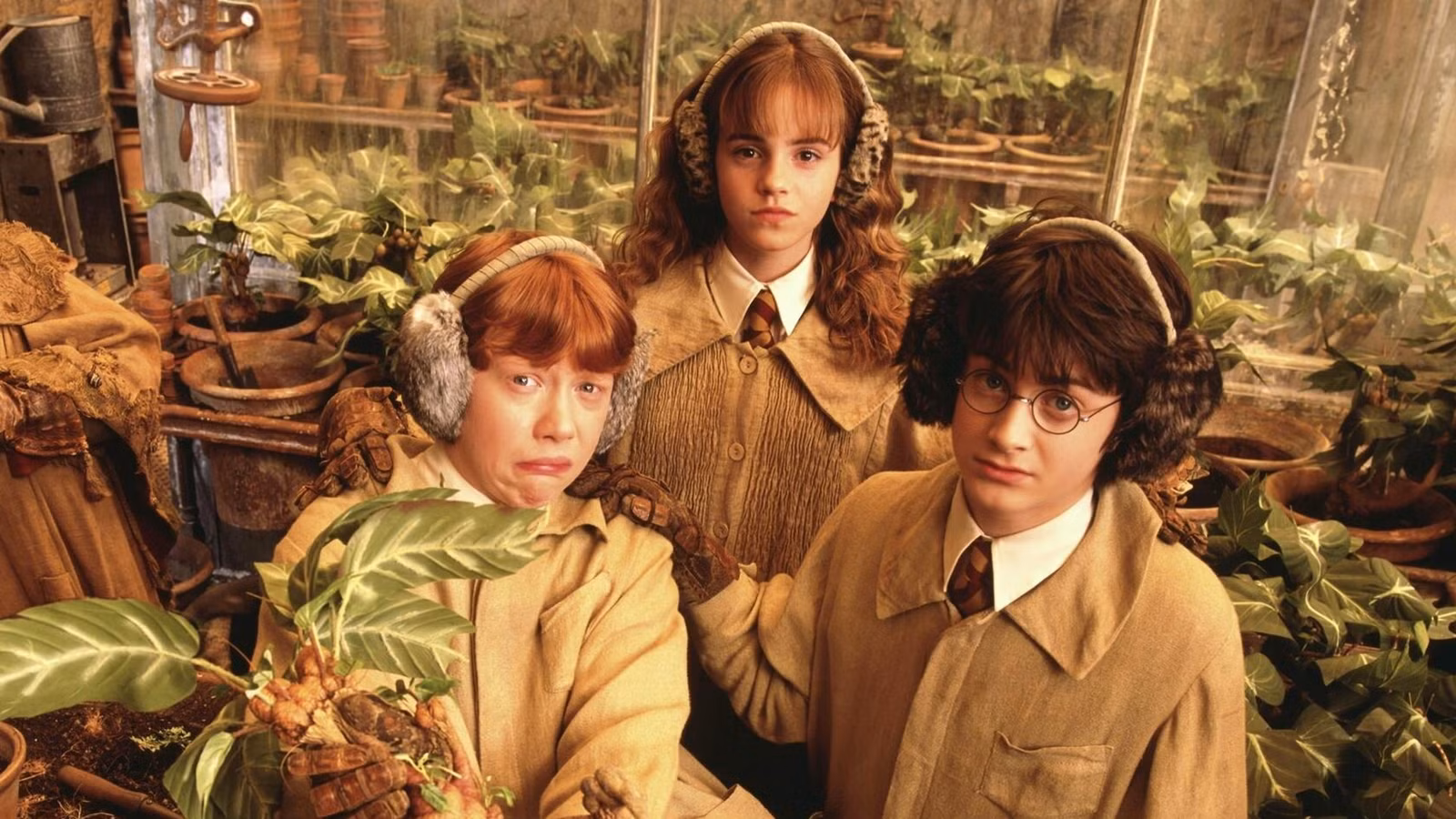 El actor de Harry Potter revela la forma sorprendente en que consiguió su papel en la próxima serie de HBO