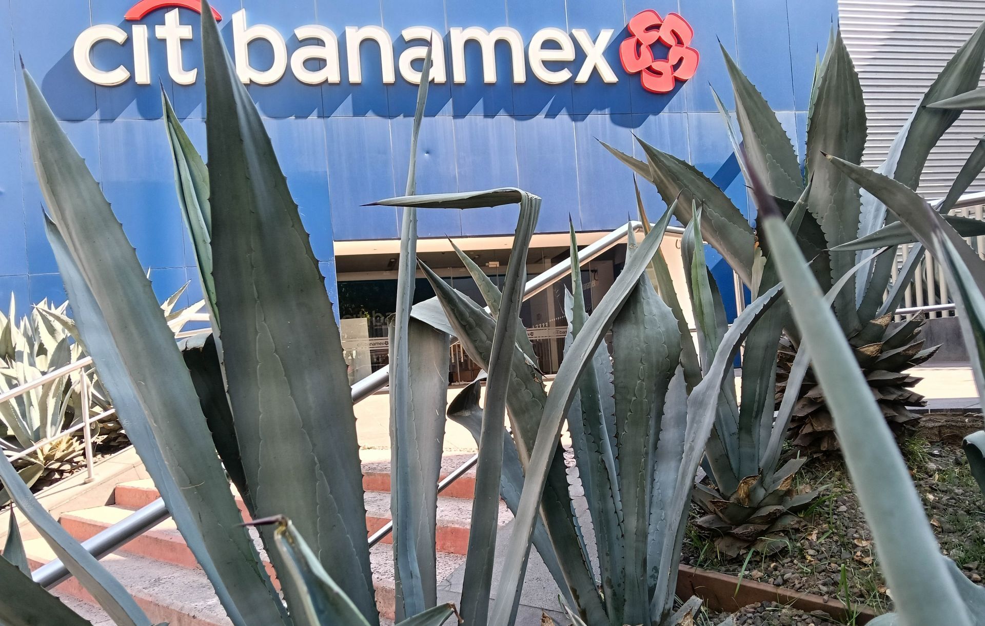 ¿Abren los bancos el 31 de diciembre y el 1 de enero?