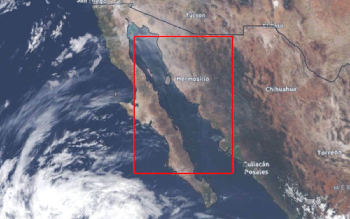 Diputado llama a reconocer ya al Golfo de California como territorio mexicano