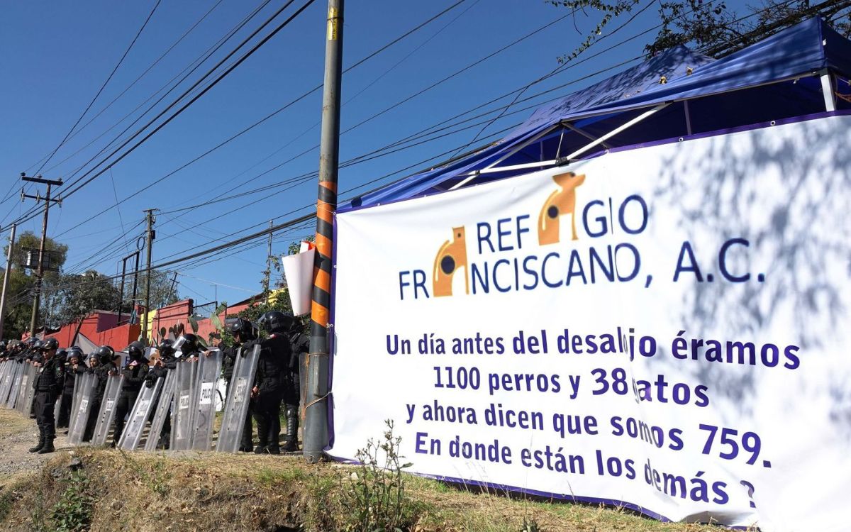 Escala pleito legal: Fundación Haghenbeck demandará a Refugio Franciscano por daño moral tras acusación de montaje