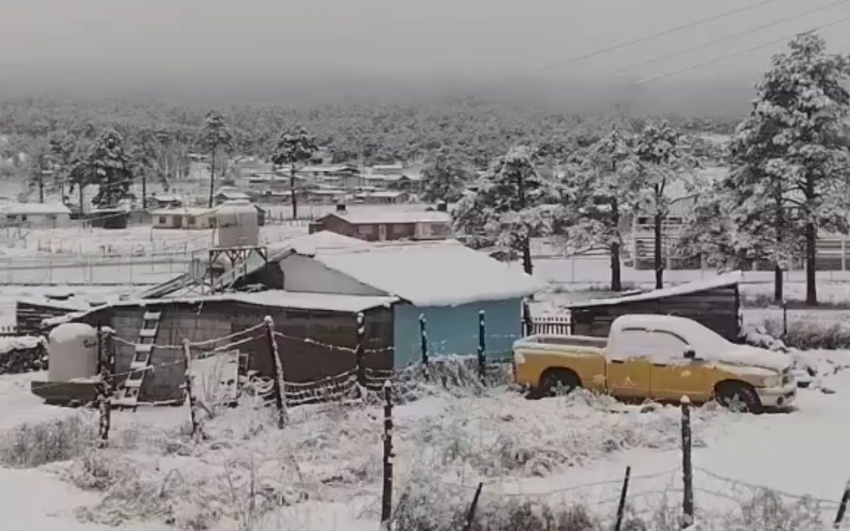 La Sierra Tarahumara se cubre de nieve: Así impacta la segunda tormenta invernal en Chihuahua