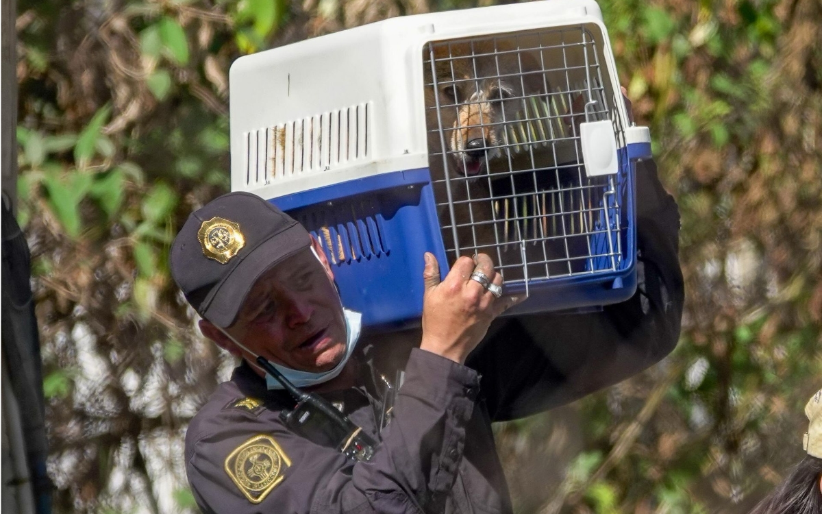 Refugio Franciscano señala al GobCDMX de no respetar fallo judicial a favor del albergue