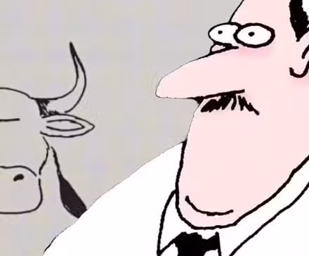 Un hombre de Far Side parece preocupado (primer plano, color) con una vaca y un granero al fondo.
