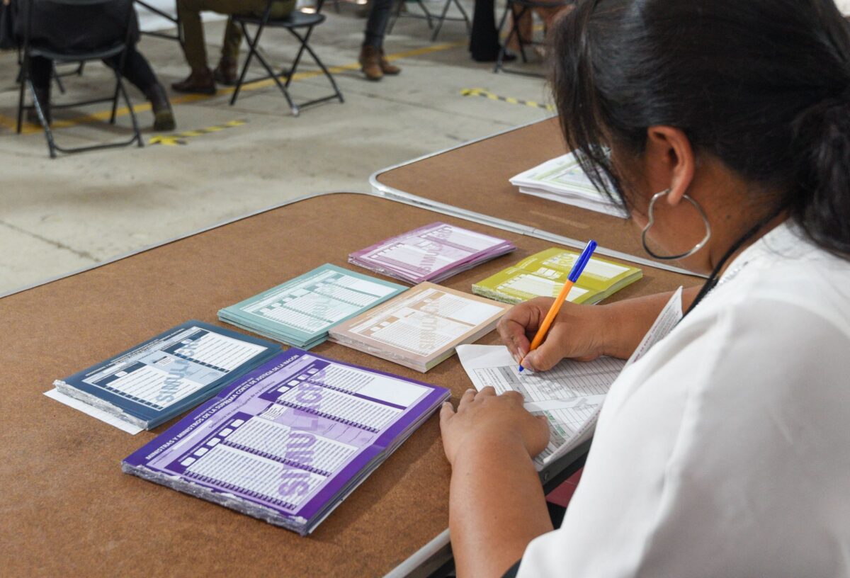 Primarias abiertas y fin a sobrerrepresentación: Figueroa