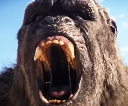 Kong rugiendo en Godzilla x Kong The New Empire
