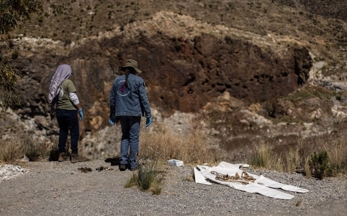 AI alerta del deterioro de derechos humanos y crisis de desaparecidos en México