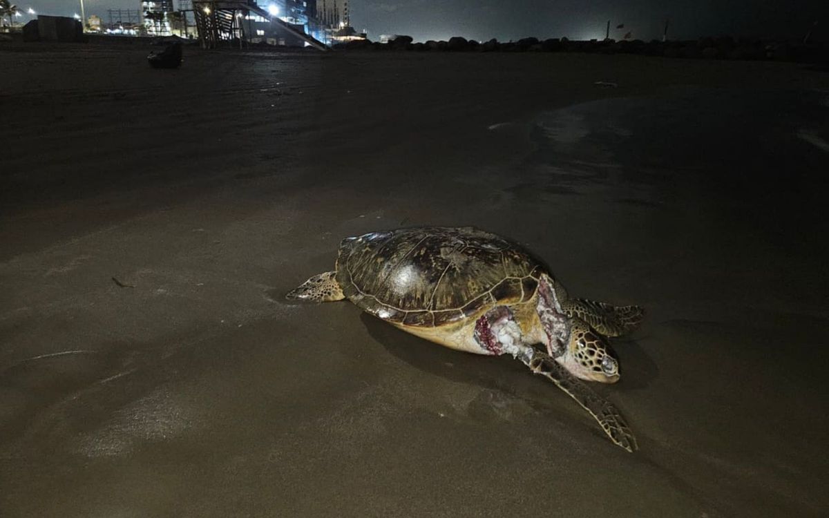 Aristegui en Vivo: Fuga en ducto de Pemex provocó derrame en el Golfo; EE. UU. alerta por jueces en México (17/04/2026)
