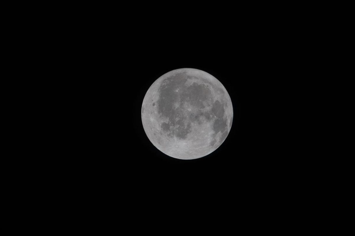 Astronautas de Artemis II logran ver la cara oculta de la Luna