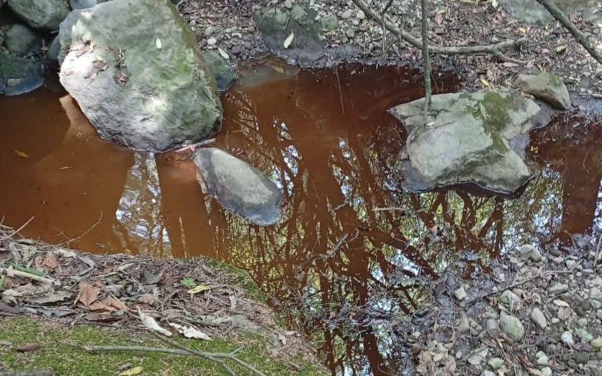 Delfina Gómez pide a Sedena activar plan de emergencia por derrame de gasolina en manantiales