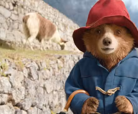 Paddington parado frente a algunas alpacas en Paddington en Perú