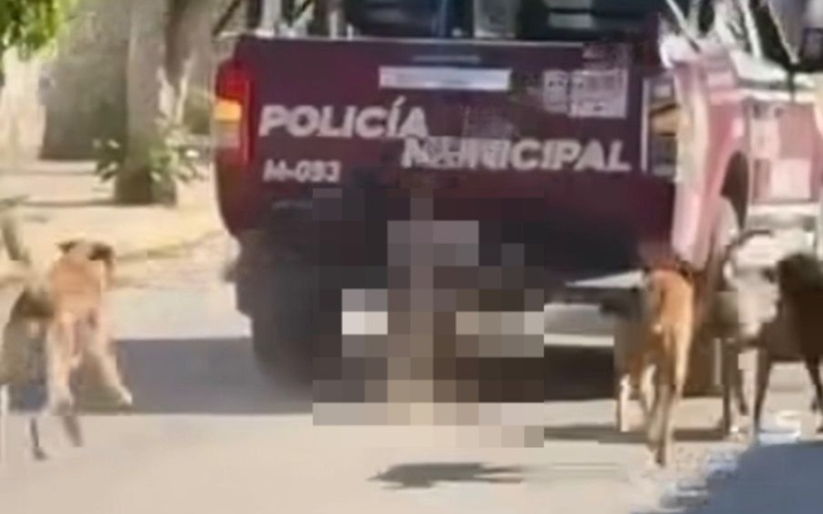 Policías arrastran cuerpo de perrito en calles de Puebla; autoridades piden disculpas | Video