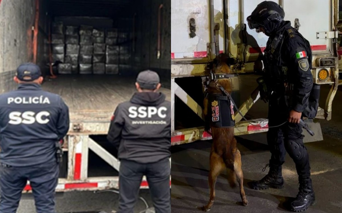 Aseguran 1.2 toneladas de marihuana en cajas de huevo | CDMX