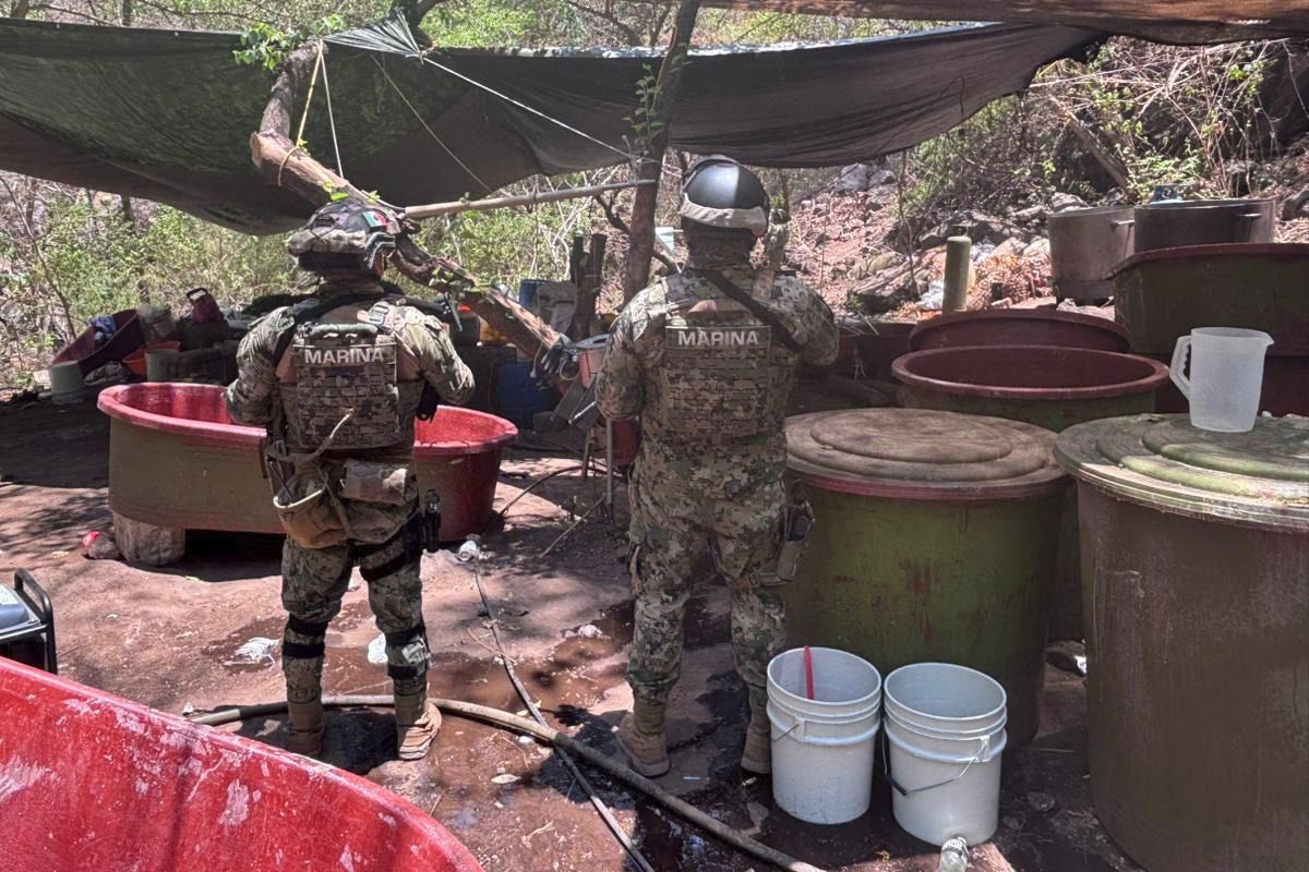 Desmantelan cinco narcolaboratorios en Jalisco, Nayarit y Sinaloa | Video