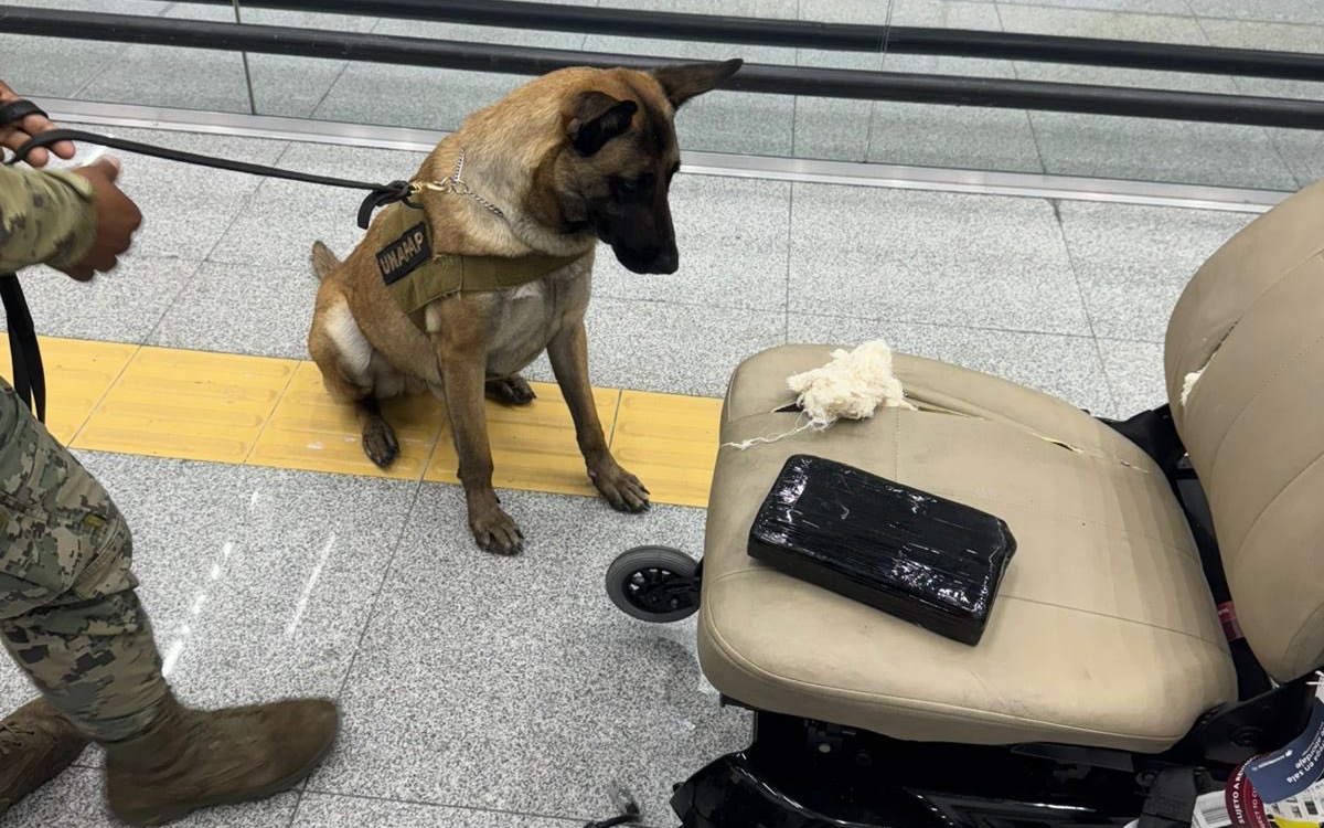 Sujeto oculta casi 9 kilos de cocaína en una silla de ruedas