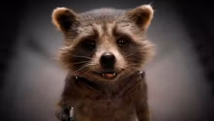 Baby Rocket Raccoon sonríe en Guardianes de la Galaxia Vol 3 del MCU